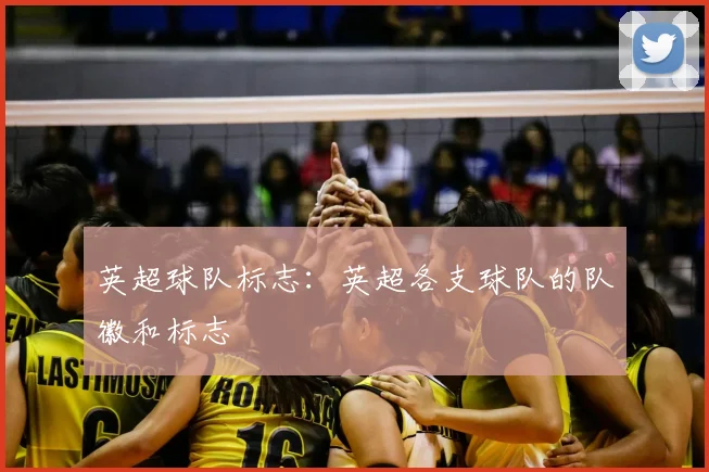 英超球队标志：英超各支球队的队徽和标志